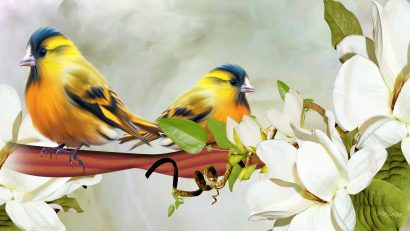 yellow-bird-yellow-bird